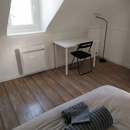 Maison Triplex Du Jardin Des Plantes * Ruan